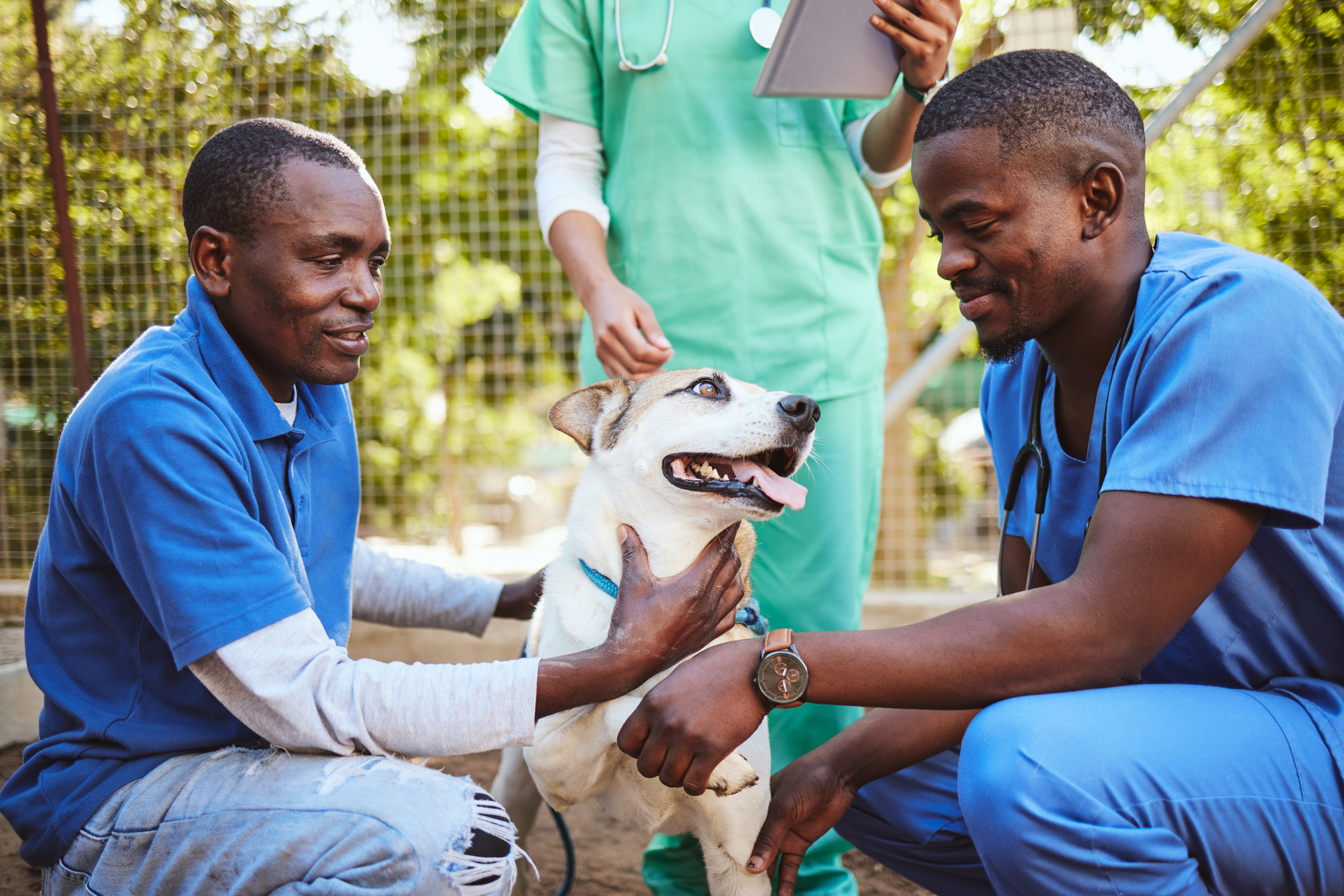 Medical Staff and Dog